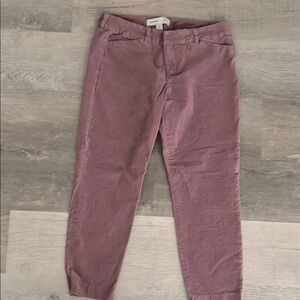 Purple Velvet  Pants